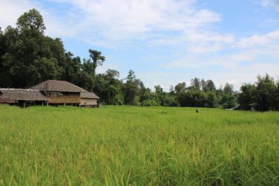 Fruiful Oneday! Trip outskirt of a City from end to end - Mon Jam Viewpoints: Panoramas and Free Entry