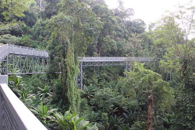 Fruiful Oneday! Trip outskirt of a City from end to end - Elephant Poopoopaper Park Chiang Mai: Toilet-to-Notebook in 40 Minutes