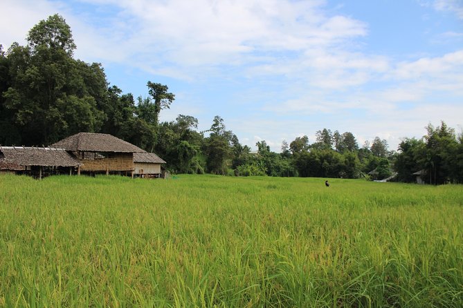 Fruiful Oneday! Trip outskirt of a City from end to end - Mon Jam Viewpoints: Panoramas and Free Entry