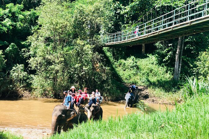 Full Day Car Hire with an English Speaking Driver in Chiang Mai - Wat Doi Suthep and Temple Time in Chiang Mai Province