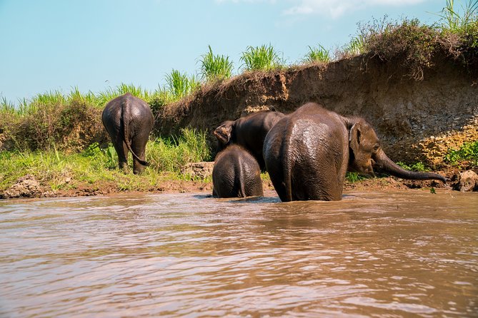 Full Day Chauffeur Driven Tuk Tuk Adventure in Chiang Mai including rafting - Mae Wang by tuk-tuk: why this day-trip feels more local