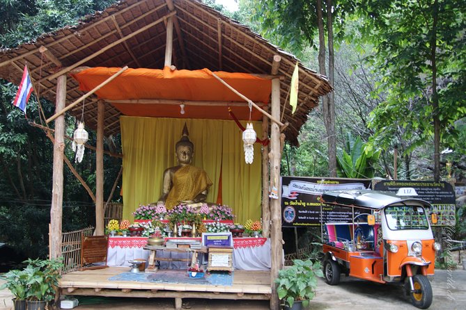 Full Day Chauffeur Driven Tuk Tuk Adventure in Chiang Mai including rafting - Elephants in the Chiang Mai area: what you’ll get from the guide’s angle