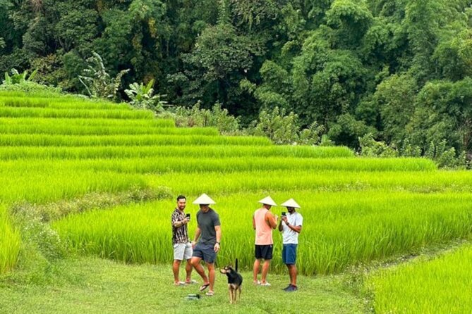 Full-Day Doi Inthanon National Park Tour with Trek and Pagodas - A big mountain day from Chiang Mai: timing, pacing, and comfort