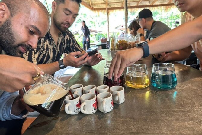 Full-Day Doi Inthanon National Park Tour with Trek and Pagodas - Pha Dok Siew Nature Trail trek: the walk that makes the day