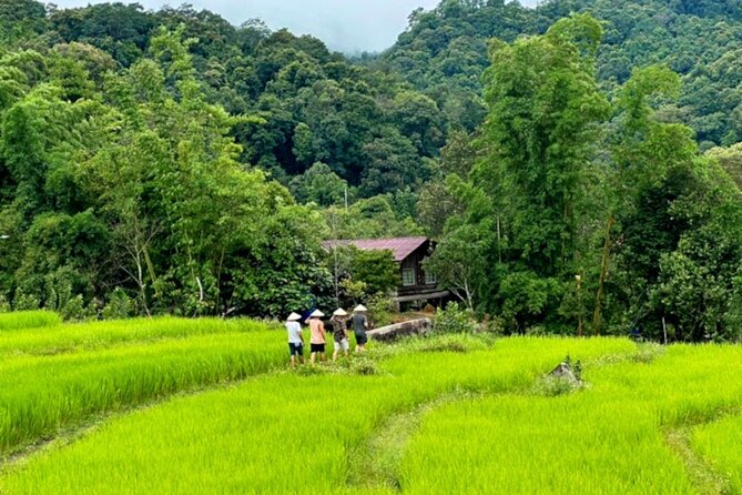 Full-Day Doi Inthanon National Park Tour with Trek and Pagodas - Baan Mae Klang Luang coffee break and Wachirathan Falls payoff