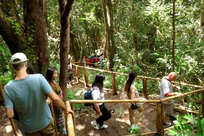 Full-Day Doi Inthanon National Park Tour with Trek and Pagodas - Who should book this full-day trek and pagodas tour?