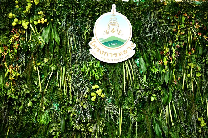 Full-Day Doi Inthanon Nature Tour from Chiang Mai - Price and Value: What You’re Paying For