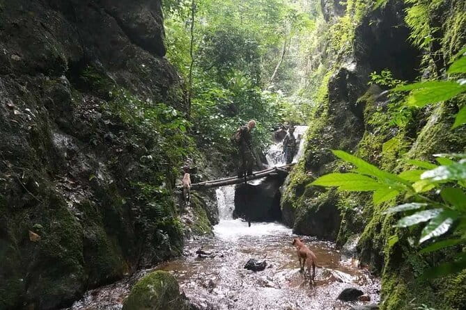Full Day Doi Saket Hiking Tour - What You Get For $58.32: Transport, Lunch, and a Tight Group