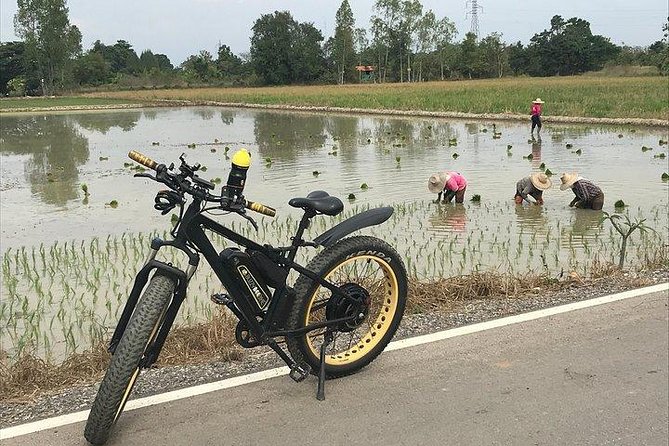 Full-day E-bike Countryside and Nam Phrae (flat-hilly, GUIDED) - Wat Ton Kwen (Wat Intharawat): a temple stop that feels like part of the ride