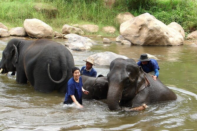 Full Day Elephant Bathing and Bamboo Rafting Tour in Chiang Mai - Mae Taman and the elephant camp: where the day sets the tone