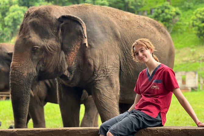 Full Day Experience at Ran-Tong Save & Rescue Elephant Centre - Meet and observe: the pace is set by the elephants