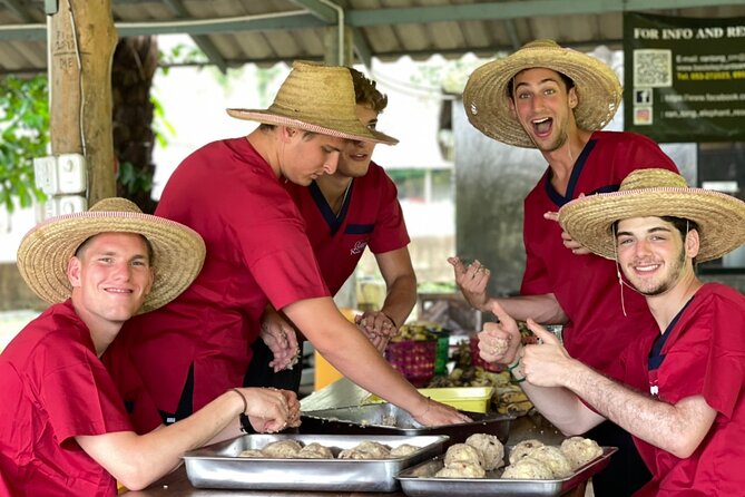 Full Day Experience at Ran-Tong Save & Rescue Elephant Centre - Lunch break near elephants: Thai food, fruit, and vegan options