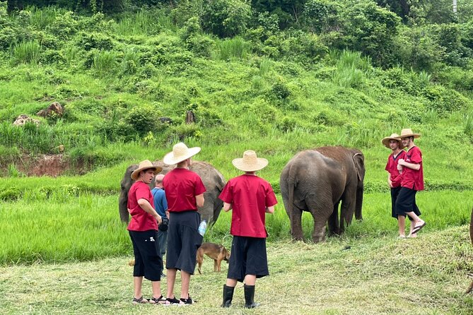 Full Day Experience at Ran-Tong Save & Rescue Elephant Centre - What to pack: clothes you won’t stress about