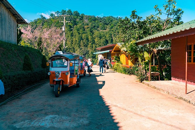 Full-Day Guided Tuk Tuk Chiang Mai Adventure and Rafting - Timing, meeting point, and what to pack for a full day