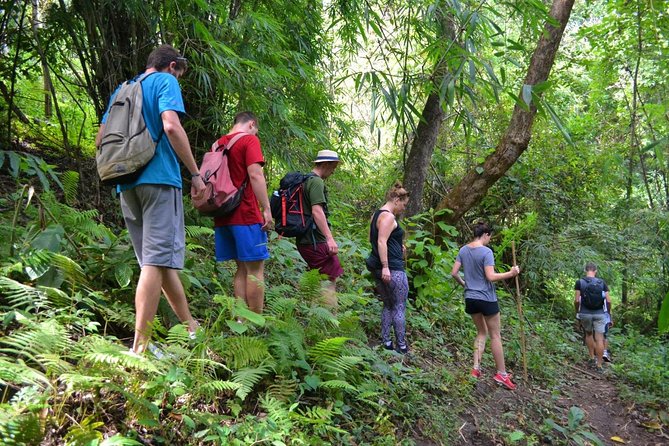 Full-Day Hike and Bike Tour from Chiang Mai - Key points before you go