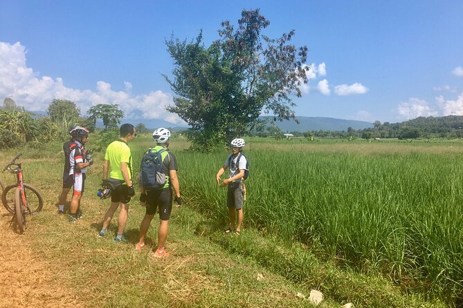 Full-Day Hike and Bike Tour from Chiang Mai - Morning hike: rice paddies, hill tribe villages, viewpoints, and rainforest feel