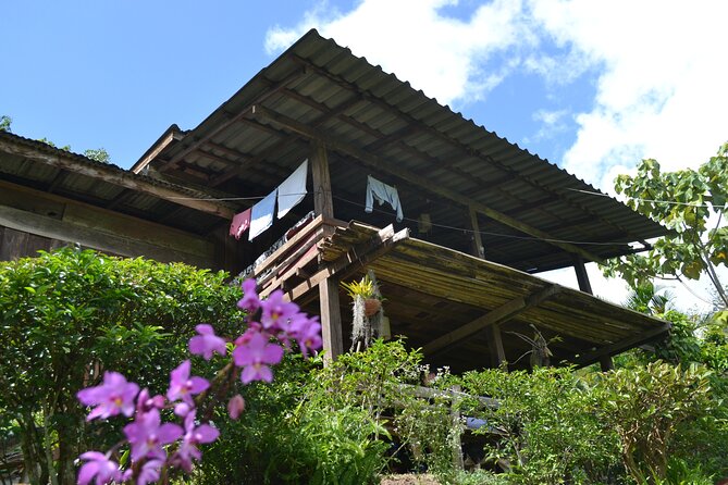 Full-Day Hike and Bike Tour from Chiang Mai - Afternoon biking: paved plus dirt, rural valley feel, and the orchid farm finish