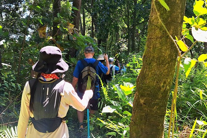 Full-Day Hike and Bike Tour from Chiang Mai - What makes the guides matter on this tour