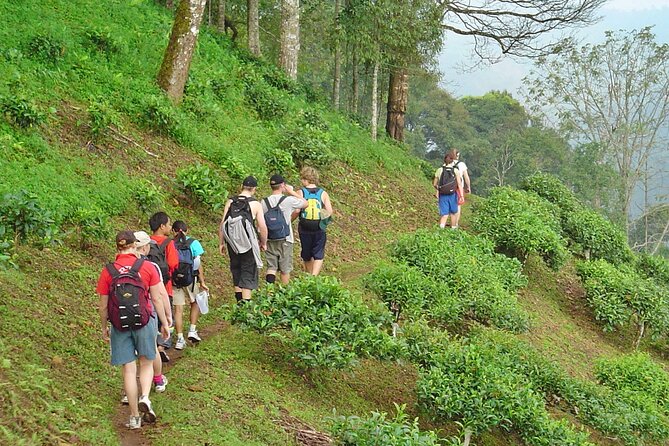 Full-Day Hike and Bike Tour from Chiang Mai - Wat Ban Den temple stop: short visit, included ticket