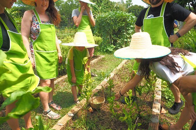 Full Day Thai Cooking at Farm (Chiang Mai) - Smile Organic Farm Cooking School: A Calm Place to Learn