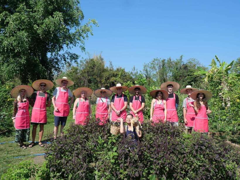 Full Day Thai Cooking Class in Organic Farm and Market - What You Get (and Why It’s Good Value at $47)