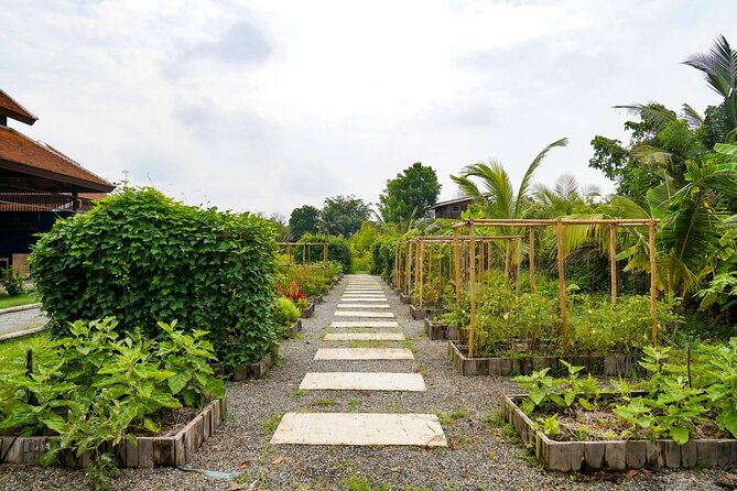 Full-Day Thai Cooking Class with Grandma - Market and Farm Tour - Who Should Book This Cooking Class in Chiang Mai?