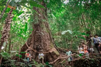 Full-Day Trekking and Sightseeing Tour in Mae Kampong - Photo Moments You’ll Actually Want to Stop For