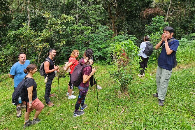 Full-Day Trekking and Sightseeing Tour in Mae Kampong - Lunch and the Real-Life Value of Village Time