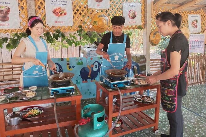 Half Day Chiang Mai Cooking Class and Market Taste Tour - Key things to know before you go
