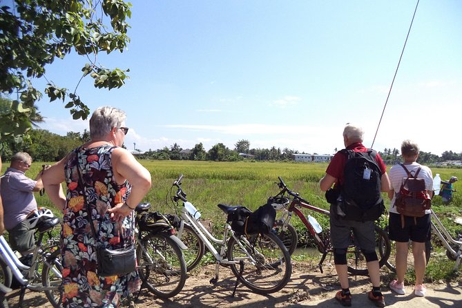 Half-Day Colors of Chiang Mai Biking Tour - Price and Value: $40.75 for a Lot of Ground