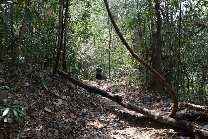 Half Day Doi Suthep Temple and short trekking on monk trail (Private Tour) - Monk Trail Trek: The Short Descent That Still Counts