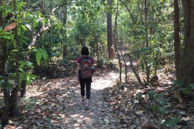 Half Day Doi Suthep Temple and short trekking on monk trail (Private Tour) - Wat Pha Lat: Waterfall Grounds and a Calmer Pace
