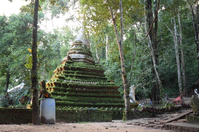 Half Day Doi Suthep Temple and short trekking on monk trail (Private Tour) - How the Private 4 Hours Feel (Transport, Timing, and Sanity)
