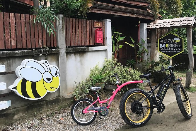 Half-day E-bike Countryside and rice paddies (flat land, GUIDED) - Fat-tire e-bikes: the practical way to do Chiang Mai’s countryside