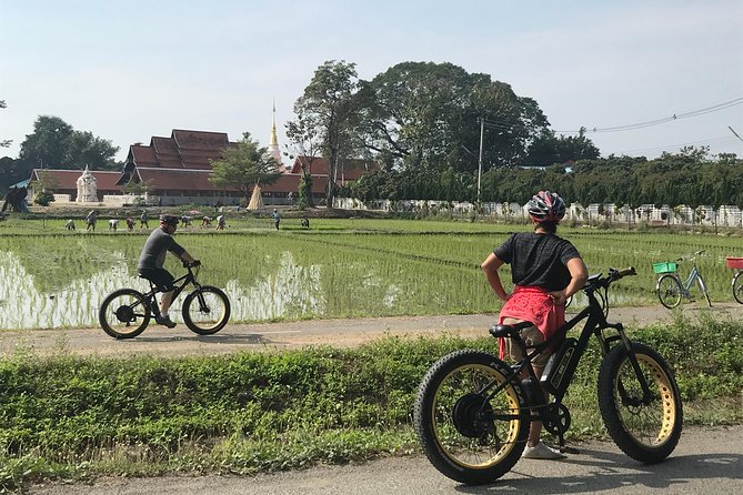 Half-day E-bike Countryside and rice paddies (flat land, GUIDED) - Hang Dong and the quieter stops that give the day texture