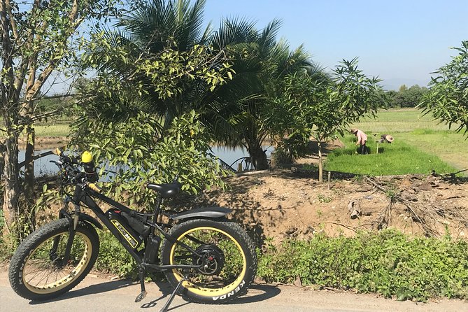 Half-day E-bike Countryside and rice paddies (flat land, GUIDED) - Value check: is $50.52 worth it?