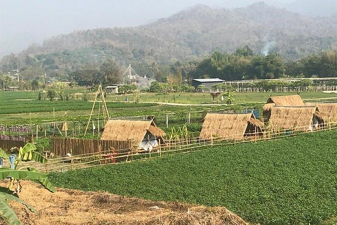 Half-day E-bike Nam Phrae (hilly, fully paved roads, GUIDED) - Wat Ton Kwen (Wat Intharawat): why this temple stop matters