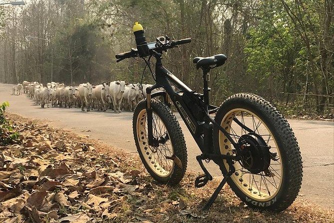 Half-day E-bike Nam Phrae (hilly, fully paved roads, GUIDED) - Comfort and fit: helmets help, but bike sizing is real