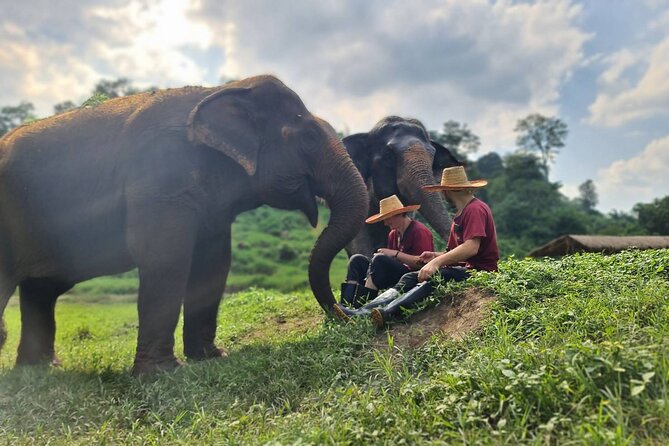 Half-Day Elephant Experience at Rantong - The Meal Break and Shower Setup: How You Recover After the Work