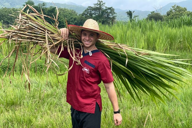 Half-Day Elephant Experience at Rantong - Price and Logistics: Is $58.70 Good Value for What You Do?