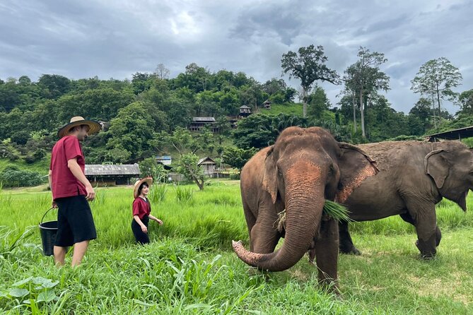 Half-Day Elephant Experience at Rantong - The Elephant School Start: Mahout Karen Clothes and Center Rules