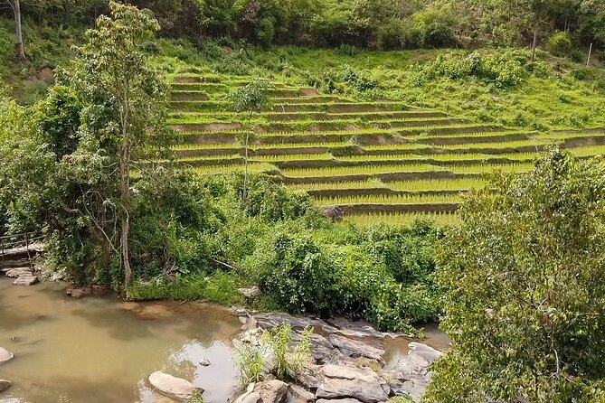 Half Day: Elephant Village Sanctuary - Cooling Off at the Miniature Waterfall
