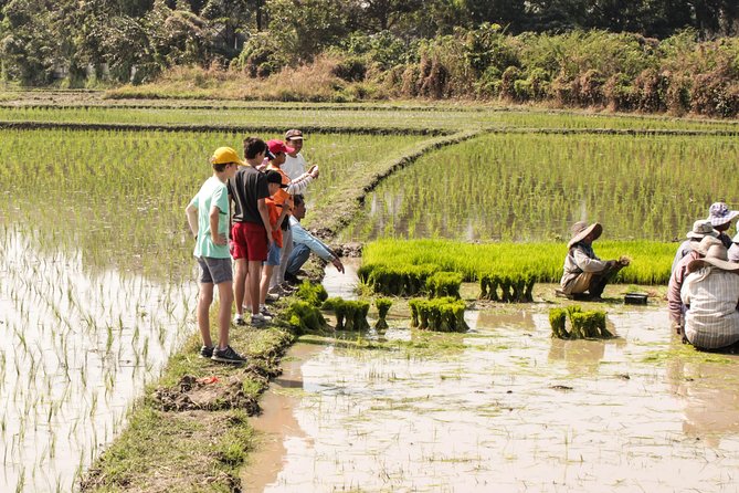 Half-Day Lanna Countryside Cycling Tour in Chiang Mai - Cycling the Lanna Back Roads: Views, Pace, and What You’ll Notice