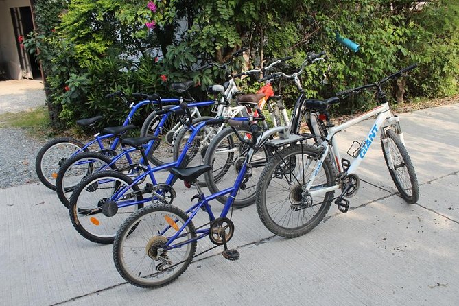 Half-Day Lanna Countryside Cycling Tour in Chiang Mai - Price and Value: Does $59 Add Up?