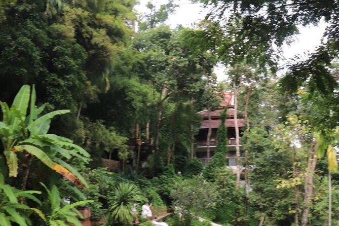 Half Day Morning Wat Pha Lat & Wat Phra That Doi Suthep Tour - Driving to Doi Suthep: a short ride with big expectations