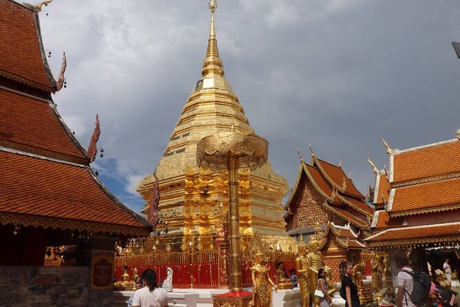 Half Day Morning Wat Pha Lat & Wat Phra That Doi Suthep Tour - Price and included perks: what $22 really covers