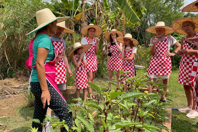 Half-Day Thai Cooking Class at Organic Farm in Chiang Mai - Key things I’d plan around
