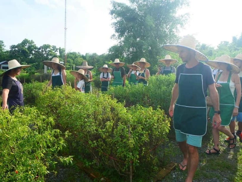 Half-Day Thai Cooking Class on a Local Farm Near Chiang Mai - The Practical Details That Make or Break Your Day