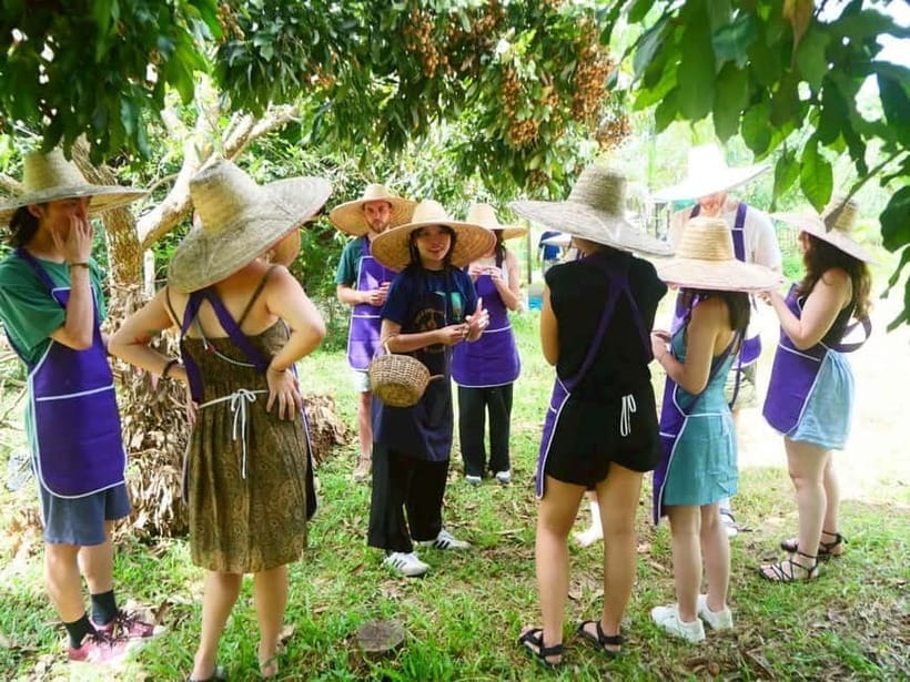 Half-Day Thai Cooking Class on a Local Farm Near Chiang Mai - The Herb Garden Walk at an Organic Farm