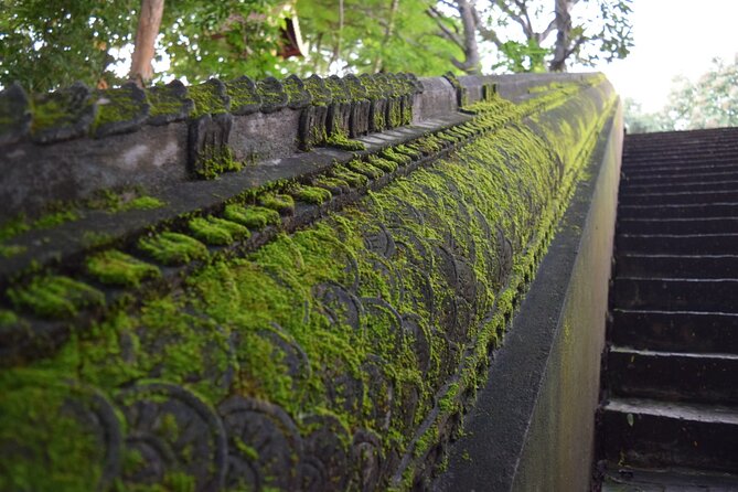 Half Day tour Suan Dok Temple, Umong temple & Doi Suthep Temple - Price check: what $83.99 per person buys you
